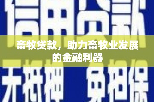 弥陀畜牧贷款，助力畜牧业发展的金融利器