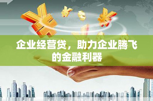 弥陀企业经营贷，助力企业腾飞的金融利器