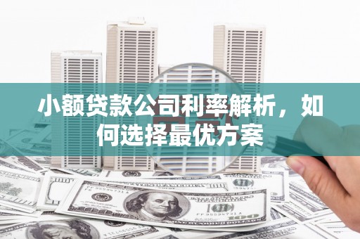 弥陀小额贷款公司利率解析，如何选择最优方案