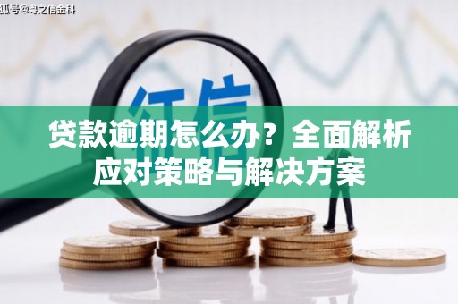 弥陀贷款逾期怎么办？全面解析应对策略与解决方案