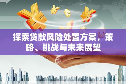 弥陀探索贷款风险处置方案，策略、挑战与未来展望