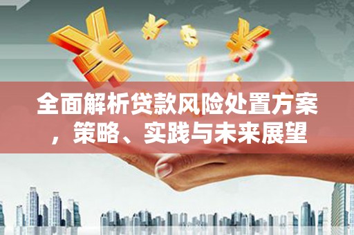 弥陀全面解析贷款风险处置方案，策略、实践与未来展望