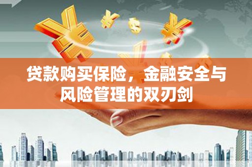 弥陀贷款购买保险，金融安全与风险管理的双刃剑