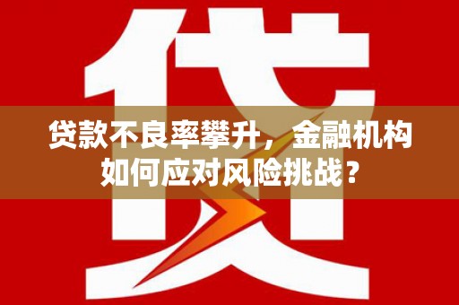弥陀贷款不良率攀升，金融机构如何应对风险挑战？