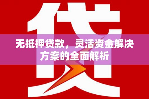 弥陀无抵押贷款，灵活资金解决方案的全面解析
