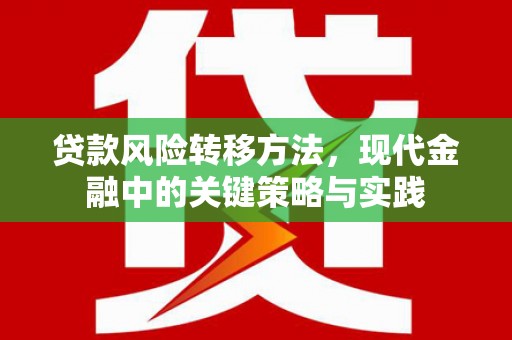 弥陀贷款风险转移方法，现代金融中的关键策略与实践
