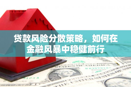 弥陀贷款风险分散策略，如何在金融风暴中稳健前行