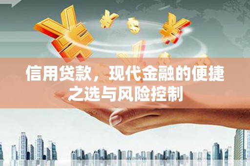 弥陀信用贷款，现代金融的便捷之选与风险控制