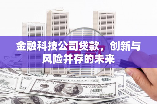 弥陀金融科技公司贷款，创新与风险并存的未来