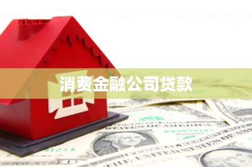 弥陀消费金融公司贷款