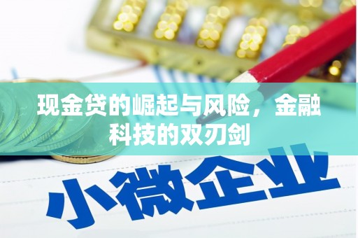 弥陀现金贷的崛起与风险，金融科技的双刃剑