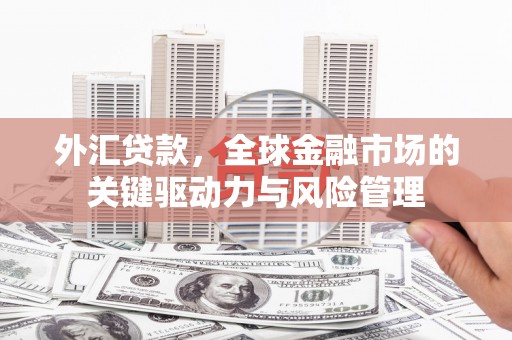弥陀外汇贷款，全球金融市场的关键驱动力与风险管理