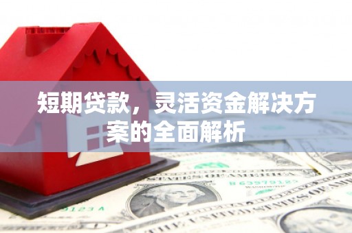 弥陀短期贷款，灵活资金解决方案的全面解析