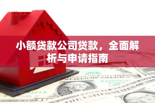 弥陀小额贷款公司贷款，全面解析与申请指南