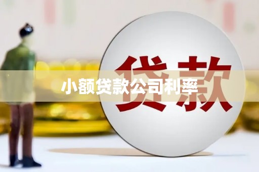 弥陀小额贷款公司利率