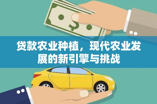 弥陀贷款农业种植，现代农业发展的新引擎与挑战