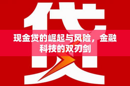 弥陀现金贷的崛起与风险，金融科技的双刃剑