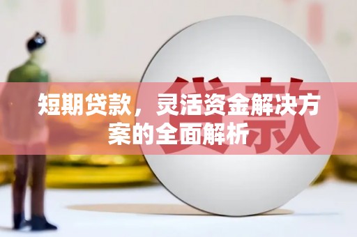 弥陀短期贷款，灵活资金解决方案的全面解析