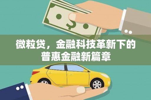 弥陀微粒贷，金融科技革新下的普惠金融新篇章
