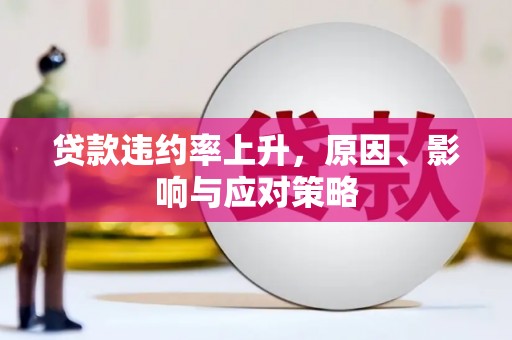 弥陀贷款违约率上升，原因、影响与应对策略
