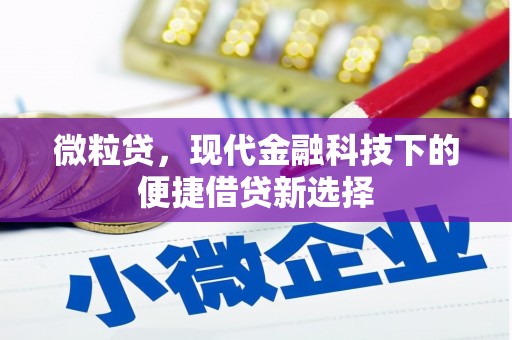 弥陀微粒贷，现代金融科技下的便捷借贷新选择