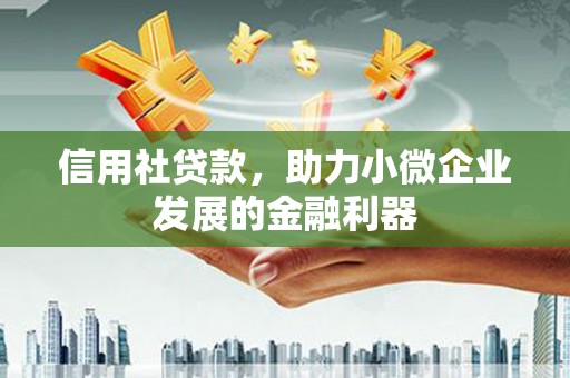 弥陀信用社贷款，助力小微企业发展的金融利器