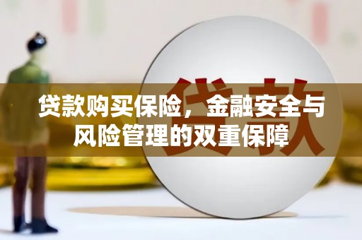 弥陀贷款购买保险，金融安全与风险管理的双重保障