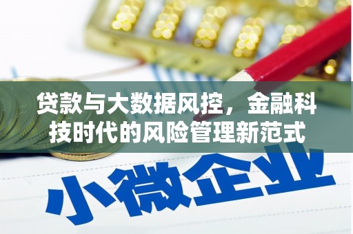 弥陀贷款与大数据风控，金融科技时代的风险管理新范式