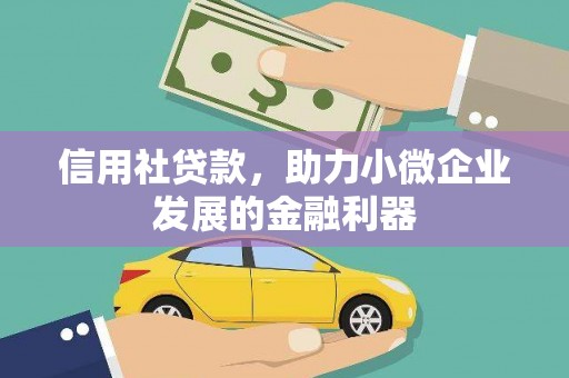 弥陀信用社贷款，助力小微企业发展的金融利器