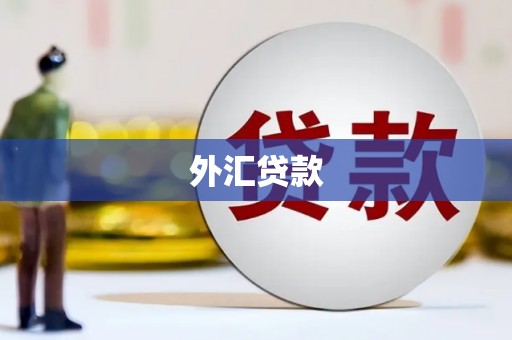 弥陀外汇贷款