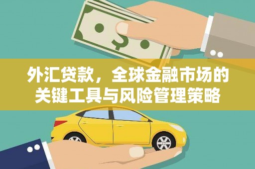 弥陀外汇贷款，全球金融市场的关键工具与风险管理策略