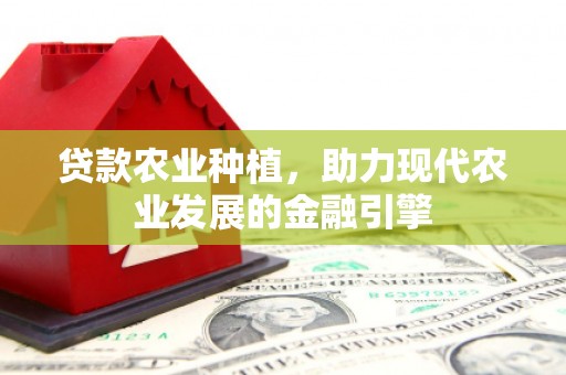 弥陀贷款农业种植，助力现代农业发展的金融引擎