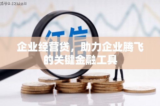 弥陀企业经营贷，助力企业腾飞的关键金融工具