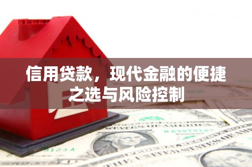 弥陀信用贷款，现代金融的便捷之选与风险控制