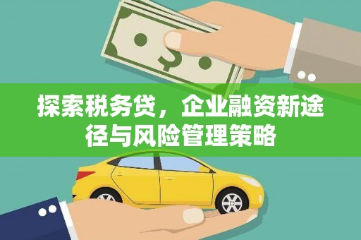 弥陀探索税务贷，企业融资新途径与风险管理策略