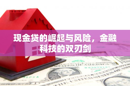 弥陀现金贷的崛起与风险，金融科技的双刃剑
