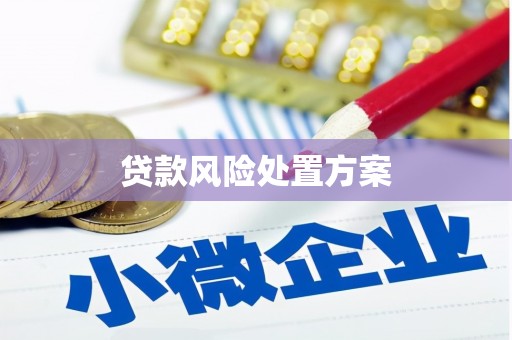 弥陀贷款风险处置方案