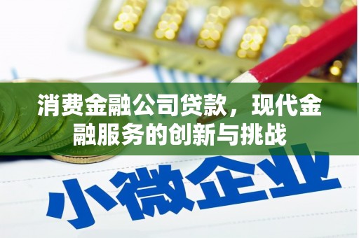 弥陀消费金融公司贷款，现代金融服务的创新与挑战