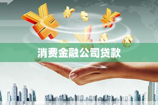 弥陀消费金融公司贷款