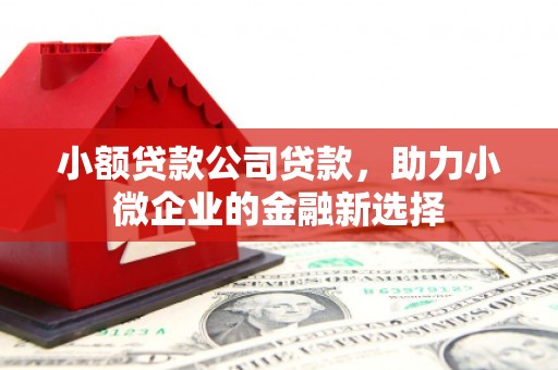 弥陀小额贷款公司贷款，助力小微企业的金融新选择