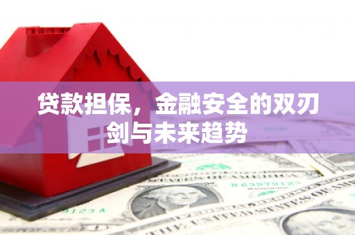 弥陀贷款担保，金融安全的双刃剑与未来趋势