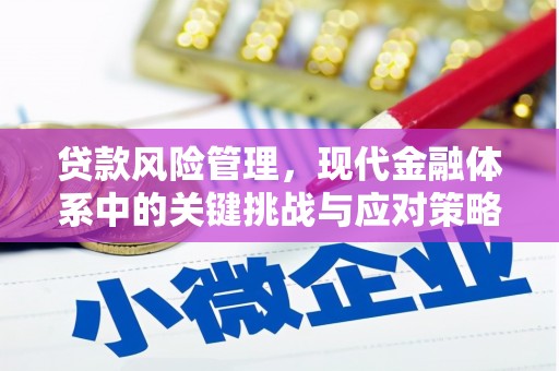 弥陀贷款风险管理，现代金融体系中的关键挑战与应对策略