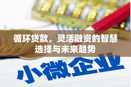 弥陀循环贷款，灵活融资的智慧选择与未来趋势