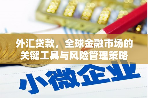 弥陀外汇贷款，全球金融市场的关键工具与风险管理策略