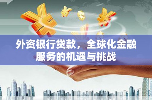 弥陀外资银行贷款，全球化金融服务的机遇与挑战