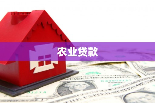 弥陀农业贷款