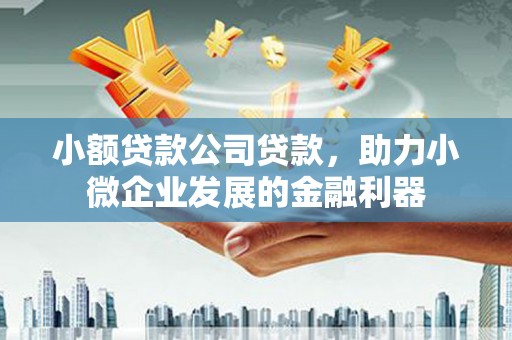 弥陀小额贷款公司贷款，助力小微企业发展的金融利器