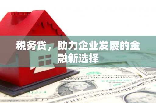 弥陀税务贷，助力企业发展的金融新选择