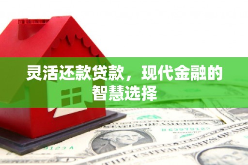弥陀灵活还款贷款，现代金融的智慧选择