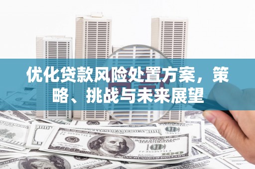 弥陀优化贷款风险处置方案，策略、挑战与未来展望